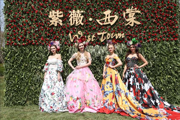 1490849999164517.jpg 圖片8.jpg