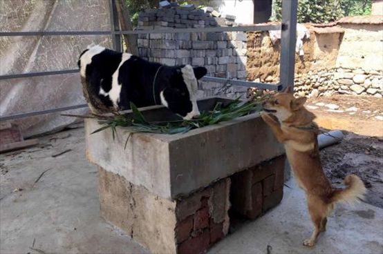 1506655134582760.jpg 圖片1.jpg