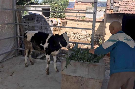 1506655144191915.jpg 圖片2.jpg