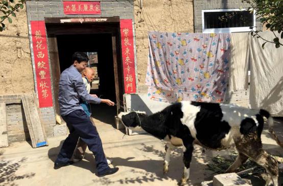 1506655155788522.jpg 圖片3.jpg