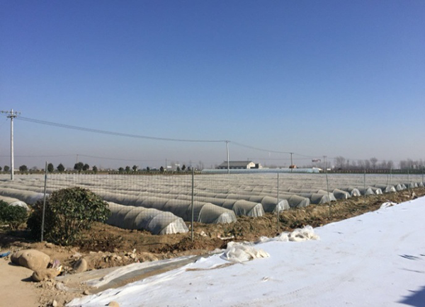 1514431823205152.png 圖片3.png