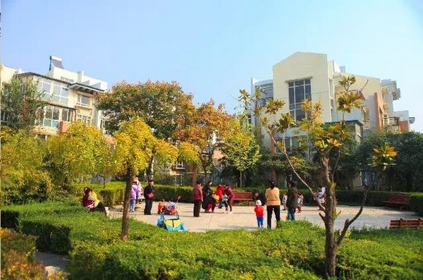 1543817771910374.jpg 6-2.jpg