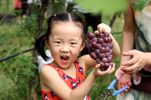 1534823309793306.jpg 111110.jpg