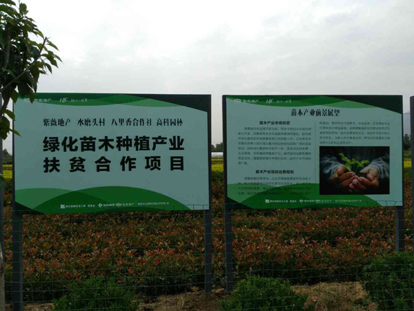 1526979030885325.jpg 22.jpg