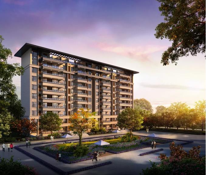 1545720859893503.jpg 1.jpg