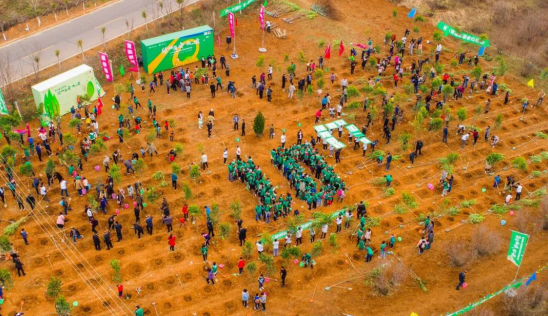 1552782608229961.png image.png