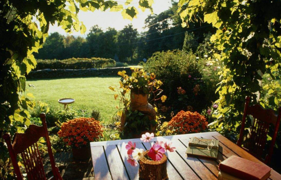 1554110182657834.png image.png