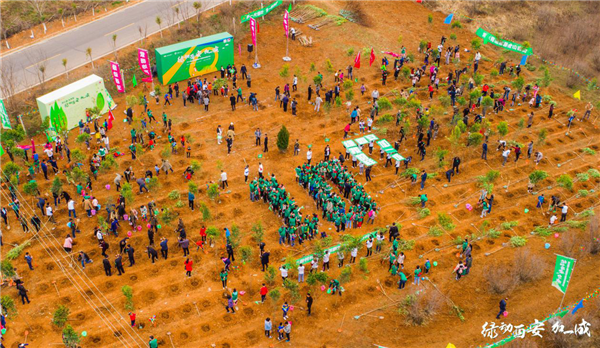 1561694164980213.png 圖片8.png