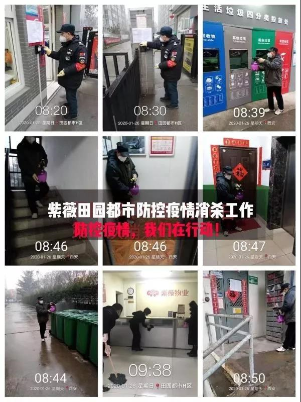 1580214953695912.jpg 2.jpg