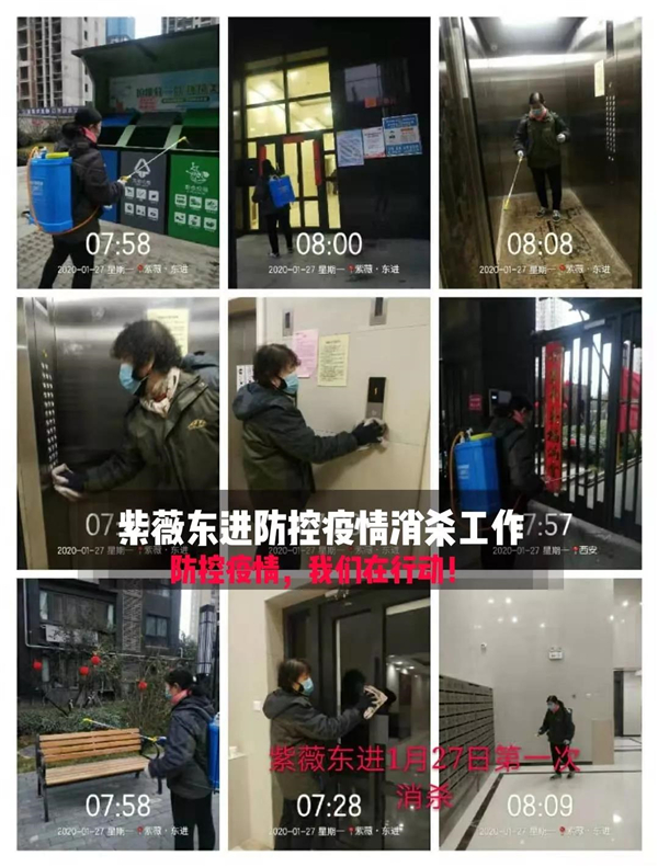 1580214965314035.jpg 3.jpg