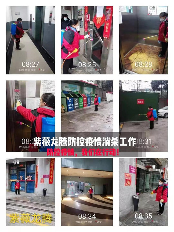 1580214995569452.jpg 4.jpg