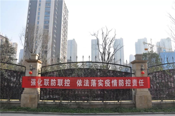 1581385603755311.jpg 20.jpg