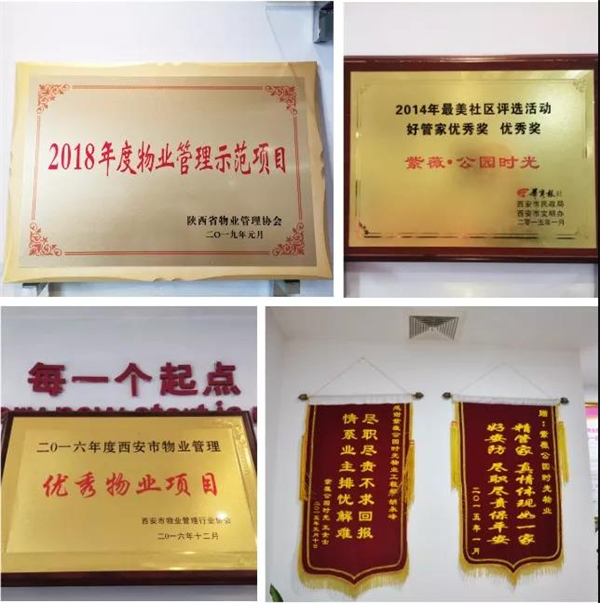 1581385836193667.jpg 27.jpg