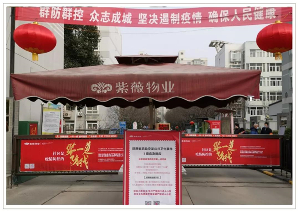 1581387860186196.jpg 141.jpg