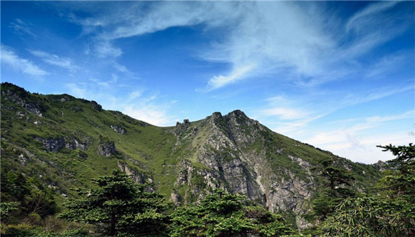 1582084084651475.jpg 微信圖片_20200219114710.jpg