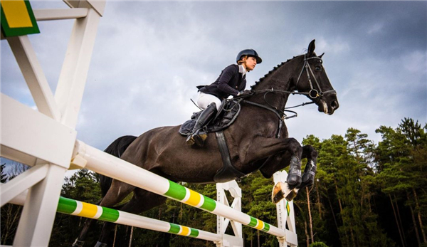 1582084179321196.jpg 微信圖片_20200219114738.jpg