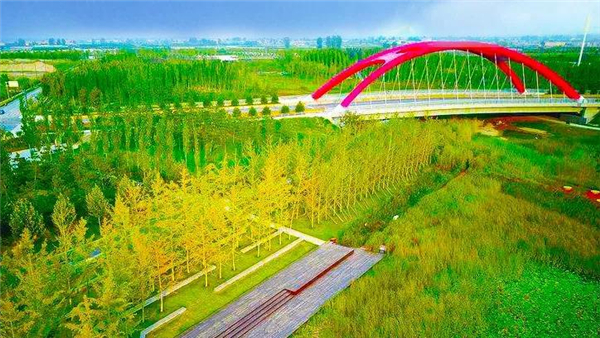 1582103564404656.jpg 微信圖片_20200219171058.jpg