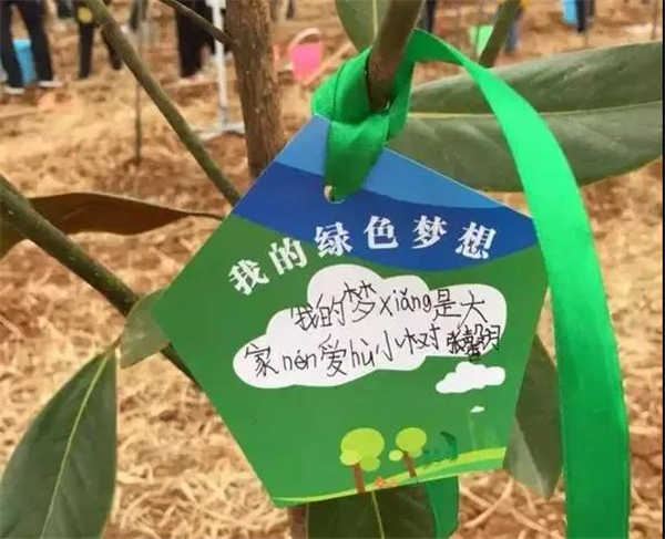 1584078310850815.jpg 微信圖片_20200313133822.jpg