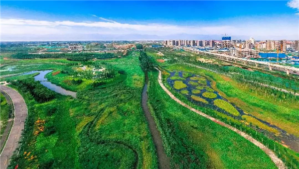 1584078882493407.jpg 微信圖片_20200313135257.jpg