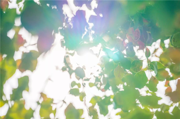 1587693089214668.jpg 1.jpg