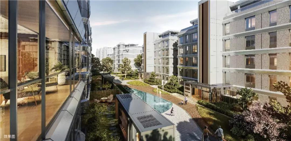 1587693308250267.jpg 8.jpg