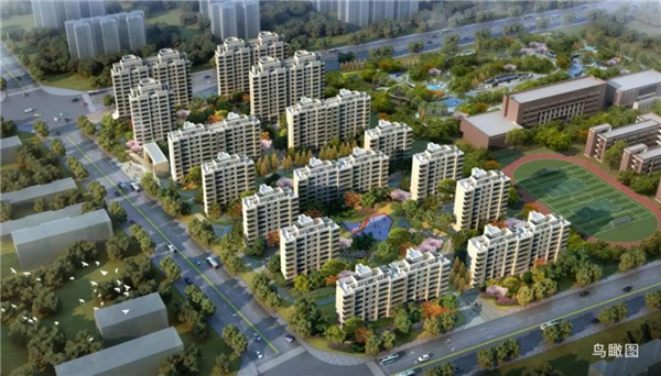 1587693352406268.jpg 102.jpg